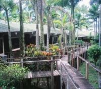 Ceiba Tops Lodge Ceiba Tops Lodge
